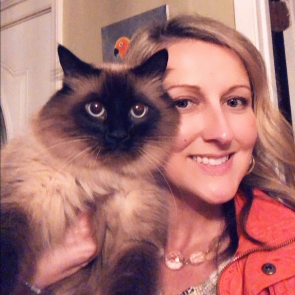 Express Jeans 👖 Size 6/28 - Picture 7 of 7